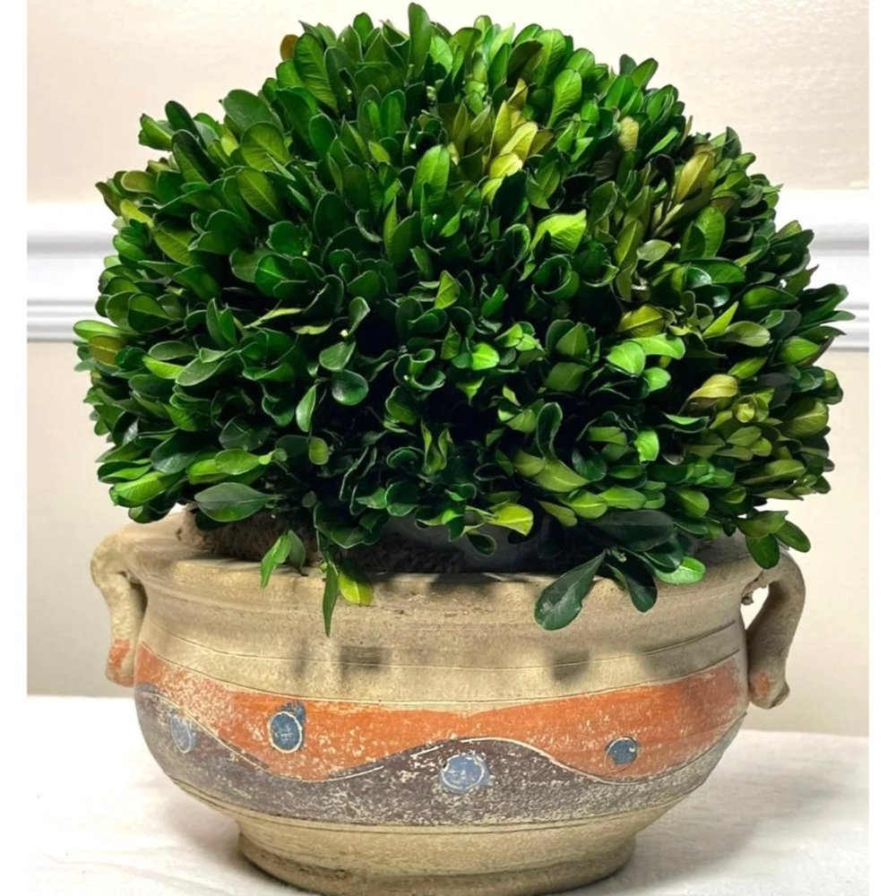 Handmade Stoneware Succulent Planter Pot